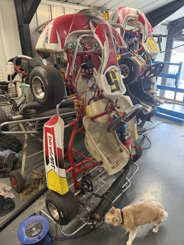 Cadet racing kart cc - racing, 60